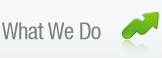 What we do